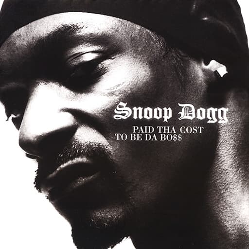 Beautiful (Snoop Dogg ft. Pharrell & Uncle Charlie Wilson)