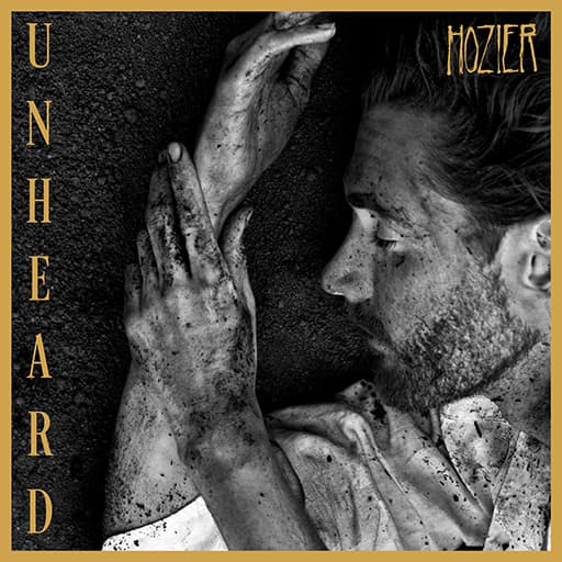 Too Sweet (Hozier)